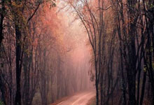 贾斯汀破门，莱斯特城1-0领先女王公园巡游者.