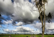 C7娱乐官网：网刚通系列！魔术师：湖人昨晚防守呢 备战季后赛关键时刻丢145分.